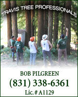 Travis Tree Professionals